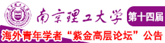 后入式操逼黄色录像片南京理工大学第十四届海外青年学者紫金论坛诚邀海内外英才！